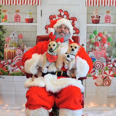 Santa Andrew holding small dogs